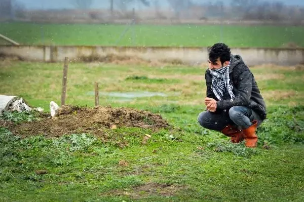 27 yıllık can yoldaşı 'Cınavır'ı mezarında da yalnız bırakmadı; Her gün mezarı başında gözyaşı döküyor 27 yıllık can yoldaşı 'Cınavır'ı mezarında da yalnız bırakmadı; Her gün mezarı başında gözyaşı döküyor