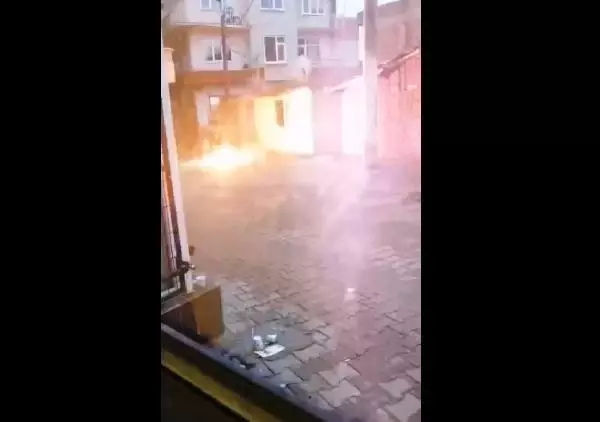 Akım yüklü tele canını hiçe sayıp, tekme attı Akım yüklü tele canını hiçe sayıp, tekme attı