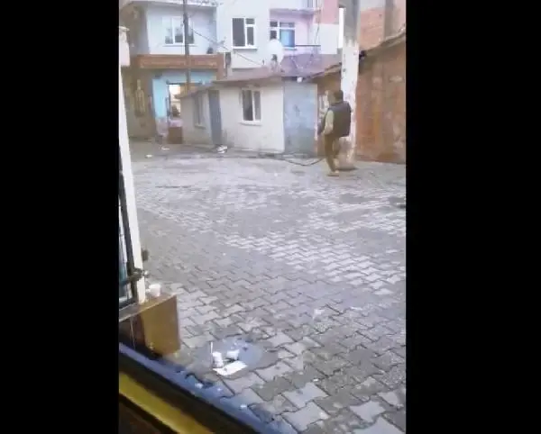 Akım yüklü tele canını hiçe sayıp, tekme attı Akım yüklü tele canını hiçe sayıp, tekme attı