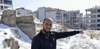 Son dakika haber! Ankara'da 3 yavru köpek ölü bulundu