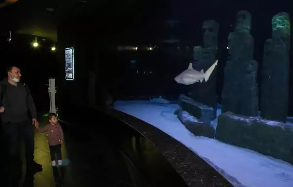 Antalya Akvaryum'a 'Güvenli Turizm' sertifikası Antalya Akvaryum'a 'Güvenli Turizm' sertifikası