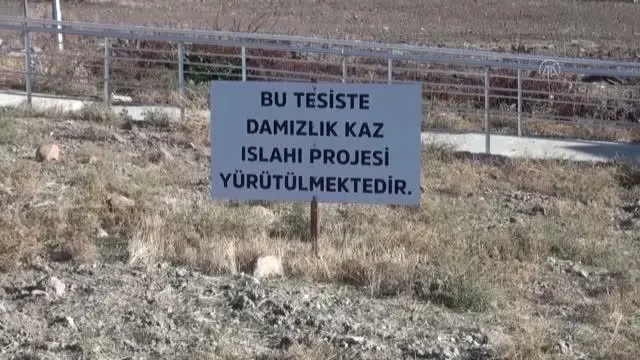 Bozok Üniversitesindeki tesiste yetiştirilen kazların tüyleri Almanya ve Macaristan'a satılıyor Bozok Üniversitesindeki tesiste yetiştirilen kazların tüyleri Almanya ve Macaristan'a satılıyor