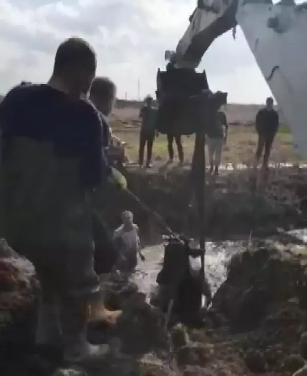 Son dakika haberi! Diyarbakır itfaiyesinin inek ve yavru köpekler için seferberliği Son dakika haberi! Diyarbakır itfaiyesinin inek ve yavru köpekler için seferberliği
