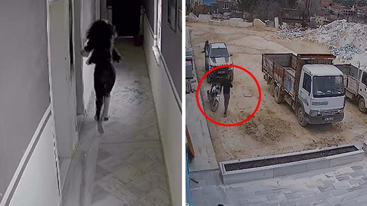 Fabrikanın kapılarını kilitleyip genç kadına saldırdı! Patronun yaşattığı dehşet anları kamerada
