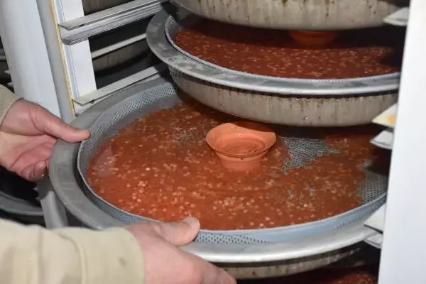 'Fotoperiyot' ile somon yumurtası üretimini ikiye katladı 'Fotoperiyot' ile somon yumurtası üretimini ikiye katladı