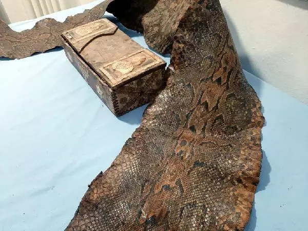 Gaziantep'te, üzerinde İbranice yazılar bulunan piton yılanı derisi ele geçti Gaziantep'te, üzerinde İbranice yazılar bulunan piton yılanı derisi ele geçti