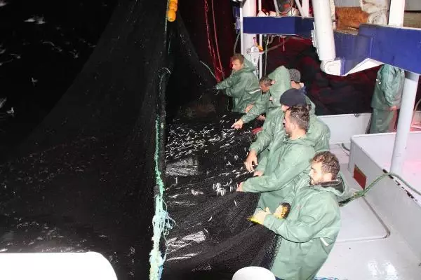 Hamsinin fiyatı, denizden tezgaha gelene kadar 3'e katlanıyor Hamsinin fiyatı, denizden tezgaha gelene kadar 3'e katlanıyor