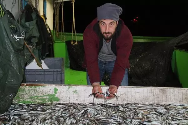 Hamsinin fiyatı, denizden tezgaha gelene kadar 3'e katlanıyor Hamsinin fiyatı, denizden tezgaha gelene kadar 3'e katlanıyor