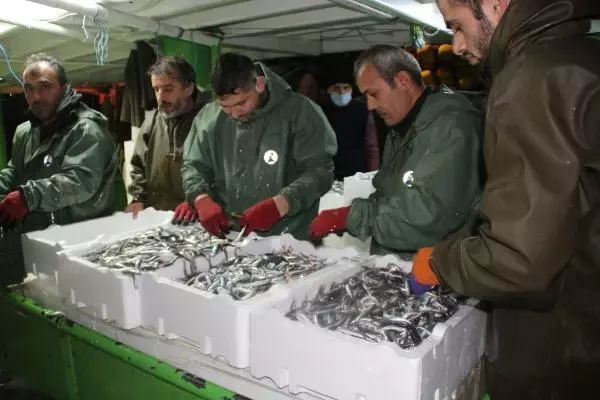 Hamsinin fiyatı, denizden tezgaha gelene kadar 3'e katlanıyor Hamsinin fiyatı, denizden tezgaha gelene kadar 3'e katlanıyor