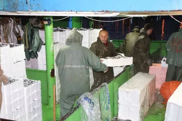 Hamsinin fiyatı, denizden tezgaha gelene kadar 3'e katlanıyor Hamsinin fiyatı, denizden tezgaha gelene kadar 3'e katlanıyor