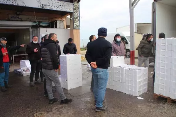 Hamsinin fiyatı, denizden tezgaha gelene kadar 3'e katlanıyor Hamsinin fiyatı, denizden tezgaha gelene kadar 3'e katlanıyor