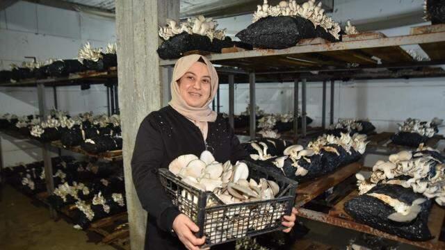 Hobi olarak mantar üretimine başlayan kadın girişimci talebe yetişemiyor Hobi olarak mantar üretimine başlayan kadın girişimci talebe yetişemiyor