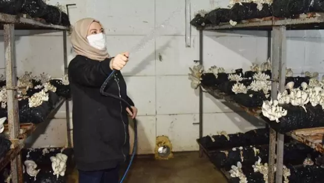 Taleplere yetişemiyor! Televizyonda görüp başladığı işten ayda 45 bin TL kazanıyor Taleplere yetişemiyor! Televizyonda görüp başladığı işten ayda 45 bin TL kazanıyor