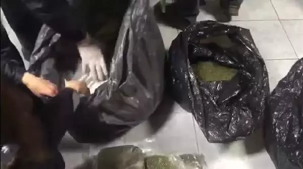 Son dakika haber! Kağıthane'de uyuşturucu operasyonu: 64 kilo bonzai ele geçirildi Son dakika haber! Kağıthane'de uyuşturucu operasyonu: 64 kilo bonzai ele geçirildi