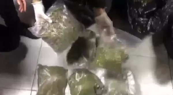 Son dakika haber! Kağıthane'de uyuşturucu operasyonu: 64 kilo bonzai ele geçirildi Son dakika haber! Kağıthane'de uyuşturucu operasyonu: 64 kilo bonzai ele geçirildi