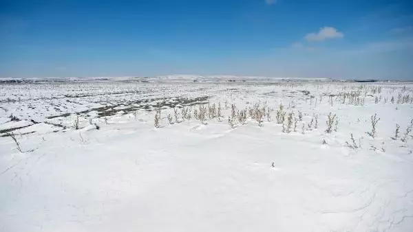 Konya Ovası'nda 'kar' çiftçiyi umutlandırdı Konya Ovası'nda 'kar' çiftçiyi umutlandırdı