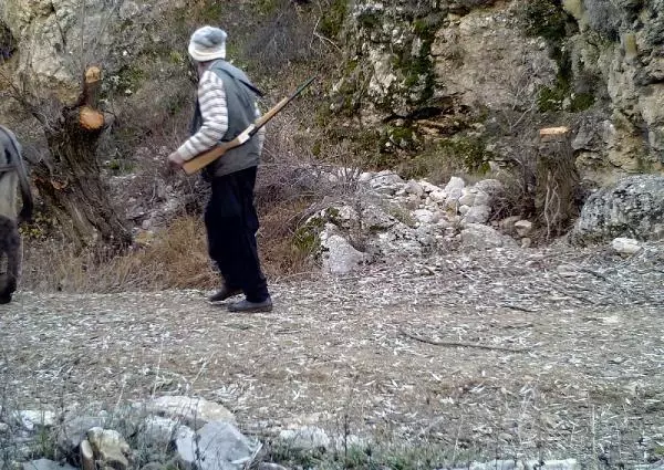Sayıları artan yaban keçilerinin peşine düşen avcılar, fotokapana yakalandı Sayıları artan yaban keçilerinin peşine düşen avcılar, fotokapana yakalandı