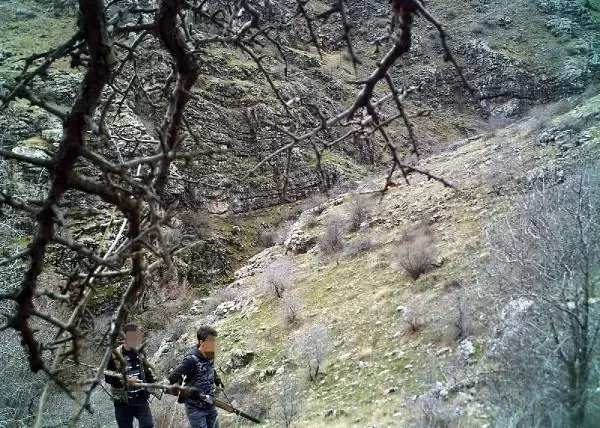 Sayıları artan yaban keçilerinin peşine düşen avcılar, fotokapana yakalandı Sayıları artan yaban keçilerinin peşine düşen avcılar, fotokapana yakalandı