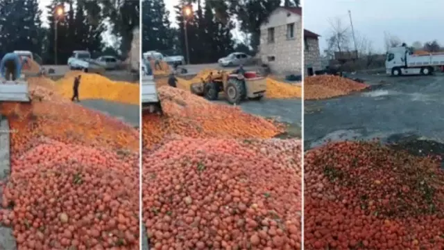 Süt banyosu ve dönerle danstan sonra skandal bir video daha! Çürümüş portakallar meyve suyu olacak Süt banyosu ve dönerle danstan sonra skandal bir video daha! Çürümüş portakallar meyve suyu olacak