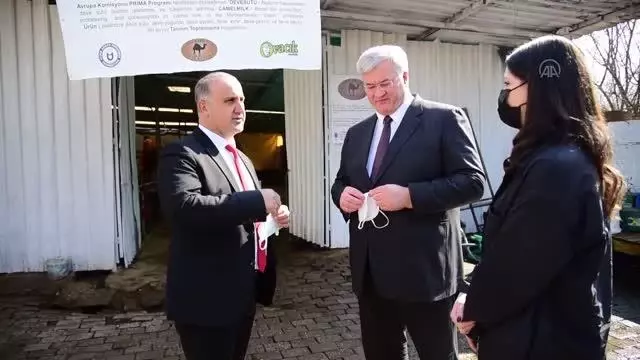 Ukrayna Büyükelçisi Andrii Sybiha, deve çiftliğini ziyaret etti Ukrayna Büyükelçisi Andrii Sybiha, deve çiftliğini ziyaret etti