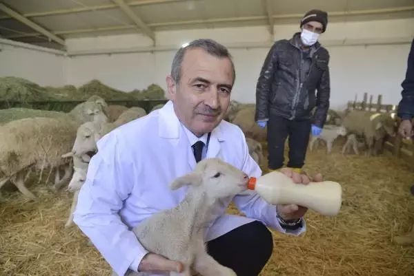 34 yıl her kademesinde görev yaptığı TİGEM'de genel müdür oldu 34 yıl her kademesinde görev yaptığı TİGEM'de genel müdür oldu