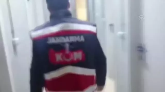 Son dakika haberi: 80 bin paket kaçak puro ele geçirildi Son dakika haberi: 80 bin paket kaçak puro ele geçirildi