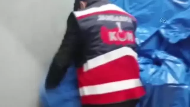 Son dakika haberi: 80 bin paket kaçak puro ele geçirildi Son dakika haberi: 80 bin paket kaçak puro ele geçirildi