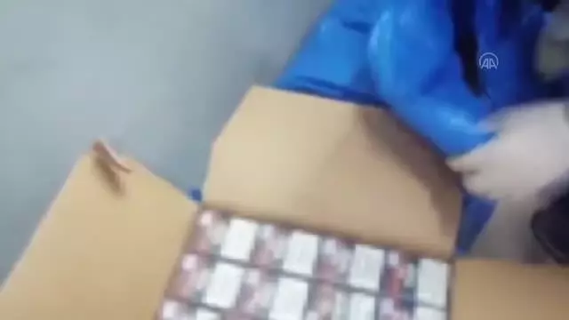 Son dakika haberi: 80 bin paket kaçak puro ele geçirildi Son dakika haberi: 80 bin paket kaçak puro ele geçirildi