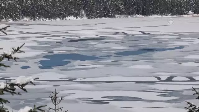 Son dakika haberi! Abant Tabiat Parkı, Kovid-19 kısıtlamalarında en sakin günlerini yaşıyor Son dakika haberi! Abant Tabiat Parkı, Kovid-19 kısıtlamalarında en sakin günlerini yaşıyor