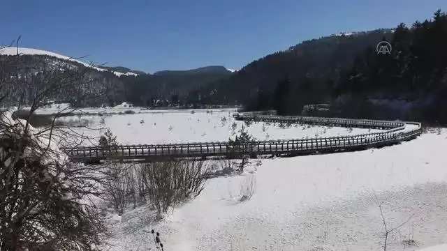 Son dakika haberi! Abant Tabiat Parkı, Kovid-19 kısıtlamalarında en sakin günlerini yaşıyor Son dakika haberi! Abant Tabiat Parkı, Kovid-19 kısıtlamalarında en sakin günlerini yaşıyor