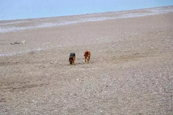 Antalya'da sahil ve sokaklar boş kaldı Antalya'da sahil ve sokaklar boş kaldı