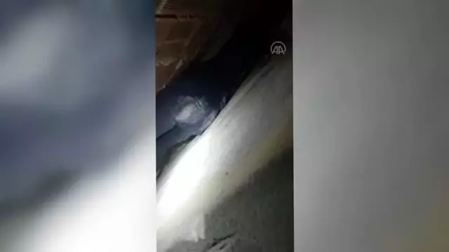 Apartman boşluğuna düşen köpeği itfaiye ekibi kurtardı Apartman boşluğuna düşen köpeği itfaiye ekibi kurtardı