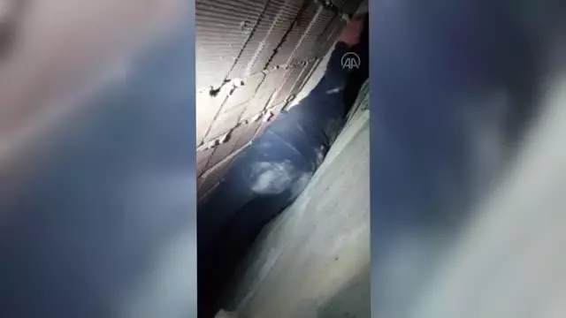 Apartman boşluğuna düşen köpeği itfaiye ekibi kurtardı Apartman boşluğuna düşen köpeği itfaiye ekibi kurtardı