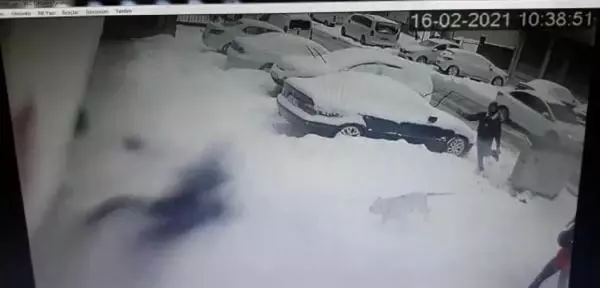 Ataşehir'de pitbull saldırısı kamerada genç kızın annesi konuştu Ataşehir'de pitbull saldırısı kamerada genç kızın annesi konuştu