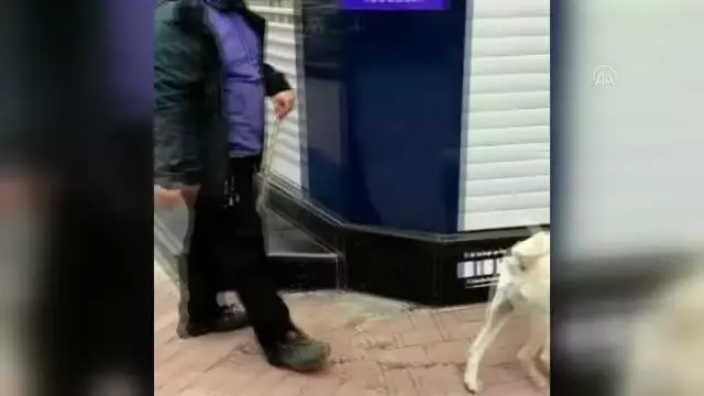 Son Dakika | BALIKESİR - Köpeklerine 20 kediyi boğdurttuğu ileri sürülen kişi gözaltına alındı Son Dakika | BALIKESİR - Köpeklerine 20 kediyi boğdurttuğu ileri sürülen kişi gözaltına alındı
