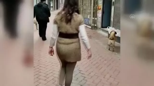 Son Dakika | BALIKESİR - Köpeklerine 20 kediyi boğdurttuğu ileri sürülen kişi gözaltına alındı Son Dakika | BALIKESİR - Köpeklerine 20 kediyi boğdurttuğu ileri sürülen kişi gözaltına alındı