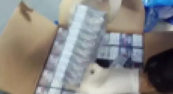 Son dakika haberi: 80 bin paket kaçak puro ele geçirildi Son dakika haberi: 80 bin paket kaçak puro ele geçirildi