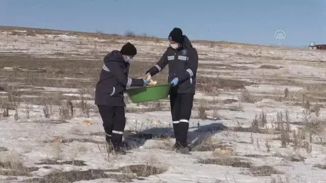 Son dakika haberi: Belediye ekipleri sokak ve yaban hayvanları için doğaya yiyecek bıraktı Son dakika haberi: Belediye ekipleri sokak ve yaban hayvanları için doğaya yiyecek bıraktı
