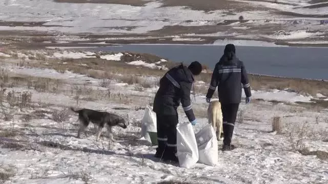 Son dakika haberi: Belediye ekipleri sokak ve yaban hayvanları için doğaya yiyecek bıraktı Son dakika haberi: Belediye ekipleri sokak ve yaban hayvanları için doğaya yiyecek bıraktı