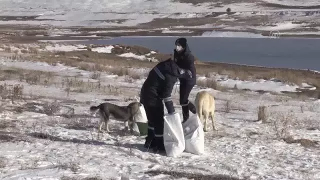 Son dakika haberi: Belediye ekipleri sokak ve yaban hayvanları için doğaya yiyecek bıraktı Son dakika haberi: Belediye ekipleri sokak ve yaban hayvanları için doğaya yiyecek bıraktı