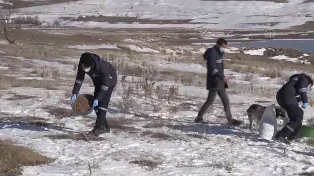 Son dakika haberi: Belediye ekipleri sokak ve yaban hayvanları için doğaya yiyecek bıraktı Son dakika haberi: Belediye ekipleri sokak ve yaban hayvanları için doğaya yiyecek bıraktı