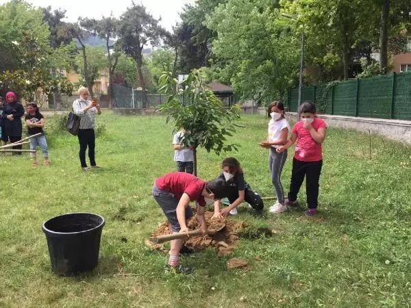 Çocuklar, 31 bin fidanı toprakla buluşturdu Çocuklar, 31 bin fidanı toprakla buluşturdu