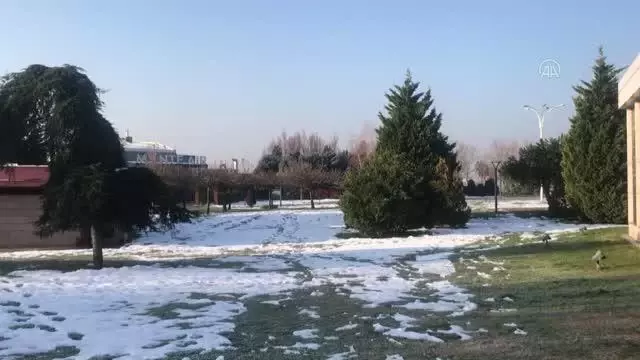 Samsun ve çevre illerde sokağa çıkma kısıtlamasına uyuluyor Samsun ve çevre illerde sokağa çıkma kısıtlamasına uyuluyor