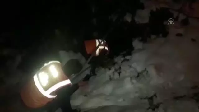 Düştüğü derede donma tehlikesi geçiren köpek belediye ekiplerince kurtarıldı Düştüğü derede donma tehlikesi geçiren köpek belediye ekiplerince kurtarıldı