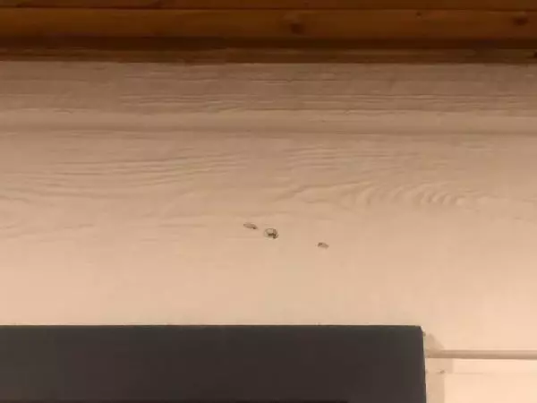 Ezine Belediye Başkanının evinin kurşunlanması olayında 1 şüpheli gözaltında Ezine Belediye Başkanının evinin kurşunlanması olayında 1 şüpheli gözaltında