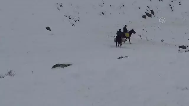 Hayvanları için dondurucu soğukta karlı dağlardan ot taşıyorlar Hayvanları için dondurucu soğukta karlı dağlardan ot taşıyorlar