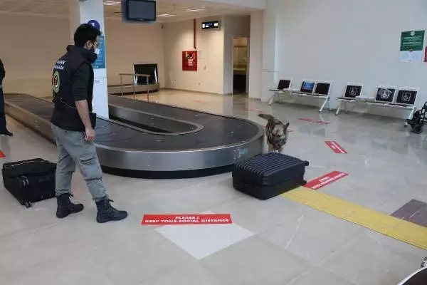 İranlı yolcunun yorgana gizlediği 1 kilo 584 gram uyuşturucuyu narkotik köpeği 'Yappa' buldu İranlı yolcunun yorgana gizlediği 1 kilo 584 gram uyuşturucuyu narkotik köpeği 'Yappa' buldu