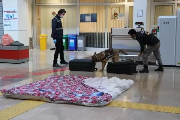 İranlı yolcunun yorgana gizlediği 1 kilo 584 gram uyuşturucuyu narkotik köpeği 'Yappa' buldu İranlı yolcunun yorgana gizlediği 1 kilo 584 gram uyuşturucuyu narkotik köpeği 'Yappa' buldu