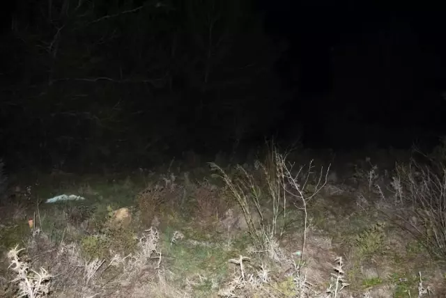 İzmir'deki kadın cinayetinin zanlısı tutuklandı İzmir'deki kadın cinayetinin zanlısı tutuklandı