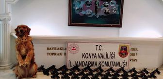 Konya'da 40 tabanca ile yakalanan 5 kişi tutuklandı